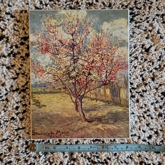 🥕Van Gogh Pink Peach Tree - Picture 5 of 6